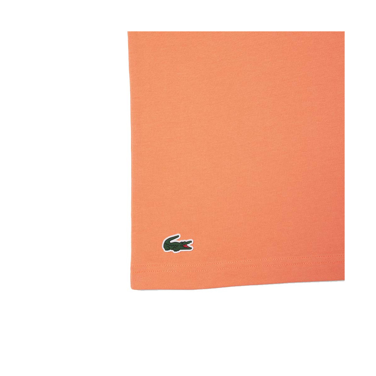 Pak T-shirt + Cap Lacoste Tennis x Novak Djokovic Wit