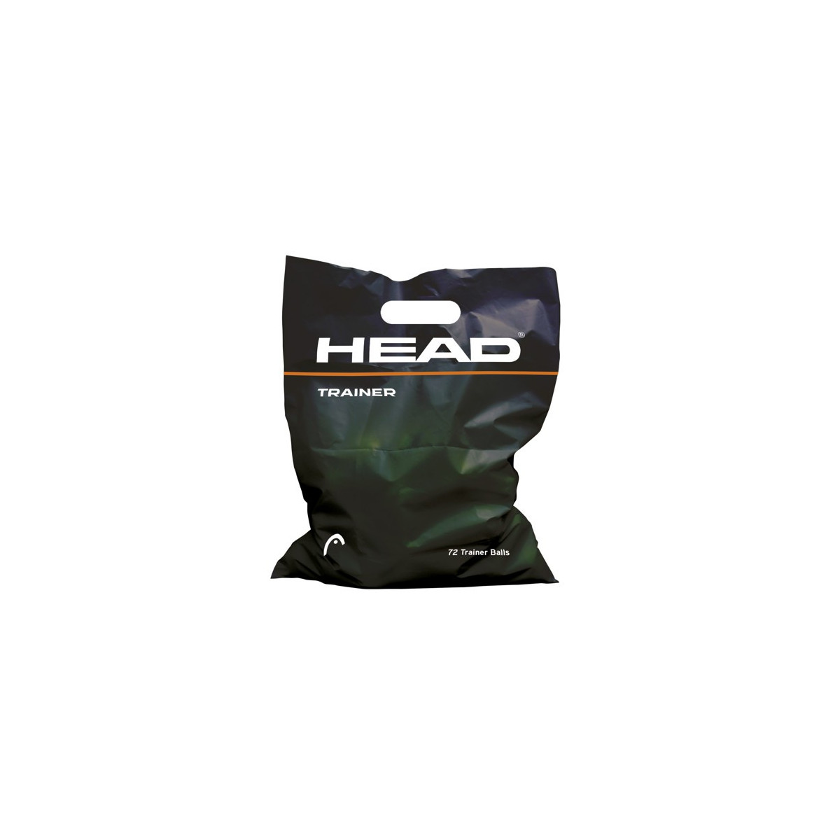 Head Trainer x 72