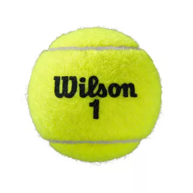 Box of 18 cans of 4 balls Wilson Rolland Garros Clay