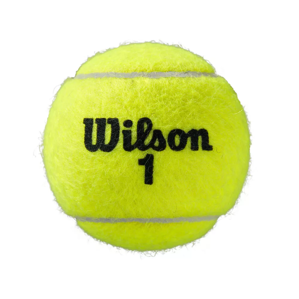Wilson Roland Garros Clay x 4 Balls