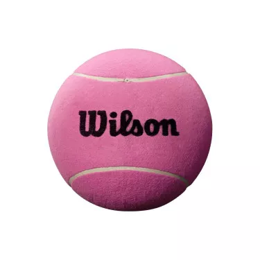 Wilson Roland Garros reus tennis bal