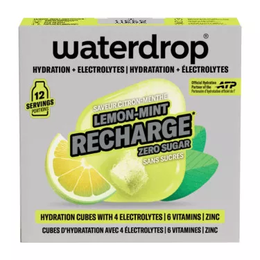 Waterdrop Blueberry Microlyte x12