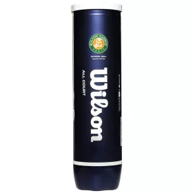 Wilson Roland Garros All Court tennisballen tube van 4