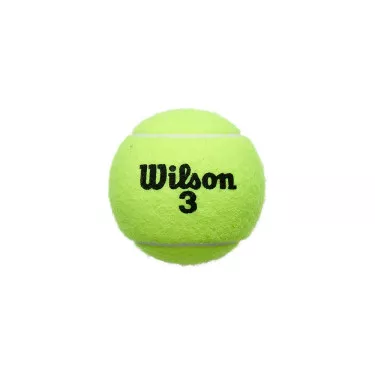 Wilson Roland Garros All Court tennisballen tube van 4