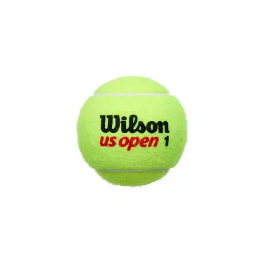 Wilson US Open tennisballen tube van 4