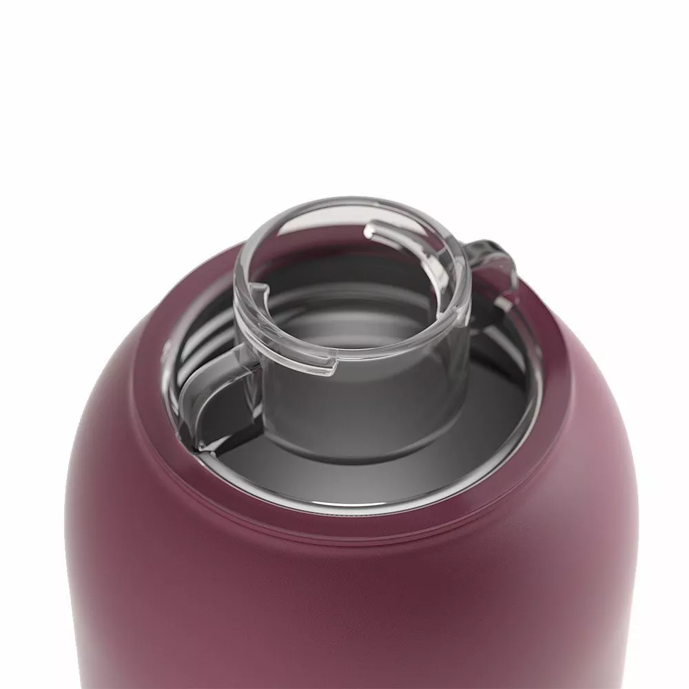 Waterdrop Thermo bidon bordeaux