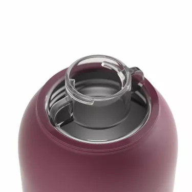 Waterdrop Thermo bidon bordeaux